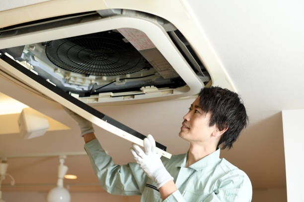 Best Air Duct Mold Removal  in Spring Arbor, MI