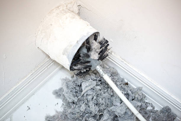 Best Local Air Duct Cleaning Services  in Spring Arbor, MI